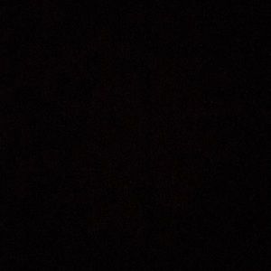 Meet your Posher, Haydon